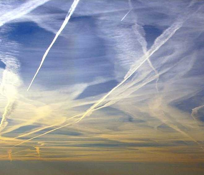 Síntomas de intoxicación por metales pesados